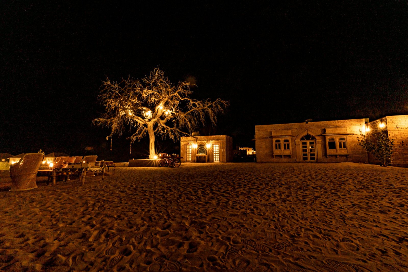 a tree in the middle of a sandy area at night